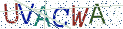 Type the letters shown in the picture