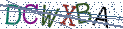 Type the letters shown in the picture