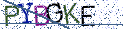 Type the letters shown in the picture