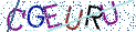Type the letters shown in the picture