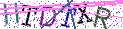 Type the letters shown in the picture