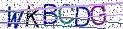 Type the letters shown in the picture
