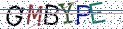 Type the letters shown in the picture