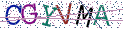 Type the letters shown in the picture