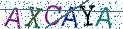 Type the letters shown in the picture