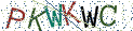 Type the letters shown in the picture