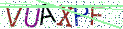 Type the letters shown in the picture