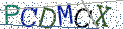 Type the letters shown in the picture
