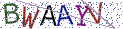 Type the letters shown in the picture