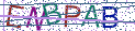 Type the letters shown in the picture