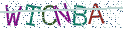 Type the letters shown in the picture