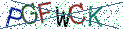 Type the letters shown in the picture