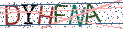 Type the letters shown in the picture