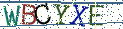 Type the letters shown in the picture