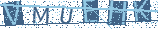 Type the letters shown in the picture