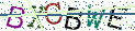 Type the letters shown in the picture