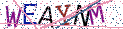 Type the letters shown in the picture