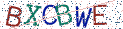 Type the letters shown in the picture