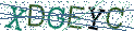 Type the letters shown in the picture