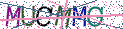 Type the letters shown in the picture