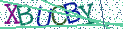 Type the letters shown in the picture