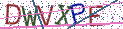 Type the letters shown in the picture