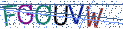 Type the letters shown in the picture