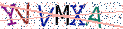 Type the letters shown in the picture