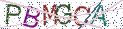 Type the letters shown in the picture