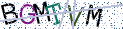 Type the letters shown in the picture