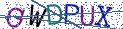 Type the letters shown in the picture