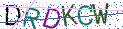 Type the letters shown in the picture