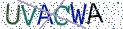 Type the letters shown in the picture