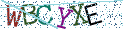 Type the letters shown in the picture