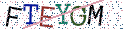 Type the letters shown in the picture