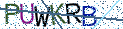 Type the letters shown in the picture