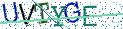 Type the letters shown in the picture