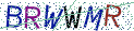 Type the letters shown in the picture