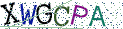 Type the letters shown in the picture