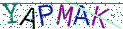 Type the letters shown in the picture