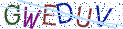 Type the letters shown in the picture