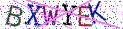 Type the letters shown in the picture