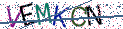 Type the letters shown in the picture