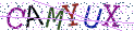 Type the letters shown in the picture