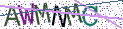 Type the letters shown in the picture