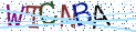 Type the letters shown in the picture