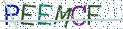 Type the letters shown in the picture