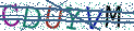 Type the letters shown in the picture