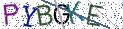 Type the letters shown in the picture