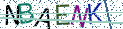 Type the letters shown in the picture